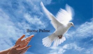 buona domenica delle palme (9)
