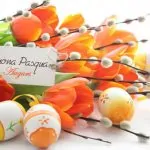 “Buona Pasqua”: le immagini più belle e divertenti per gli auguri [GALLERY]