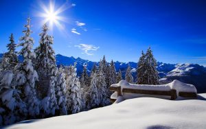 nature-bench-forest-park-sun-winter-snow-sky-landscape-nature-winter-sky-white-beautiful-cool-nice-landscape-scenery-snow-sunset-sun-bench-forest-park