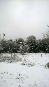 neve Lituania