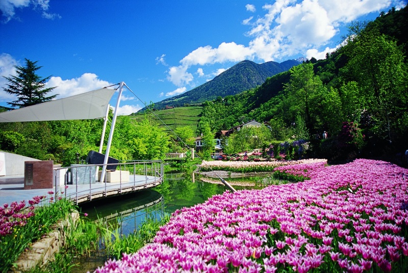 Blühende Tulpen an Japanischer Seenlandschaft April_1_MP