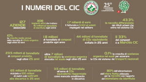 Numeri del CIC