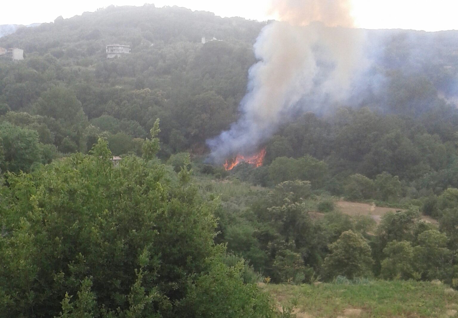 sant eufemia d aspromonte meteo