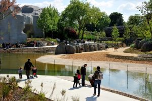 4_PARCO ZOOLOGICO DI PARIGI