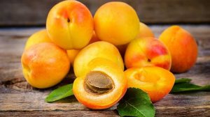 ALBICOCCA 2017 2