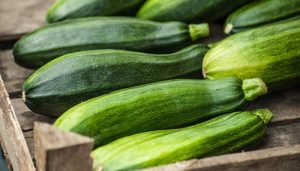 STANCHEZZA ZUCCHINE