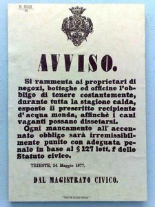 acqua animali