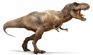 tirannosauro-t-rex