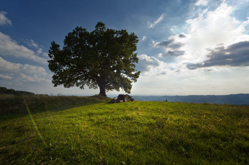 Consorzio_Soave_Biodiversità