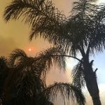 Incendi, inferno in Sicilia: evacuate case a Messina e Enna, poli dell’Università in fiamme [FOTO]