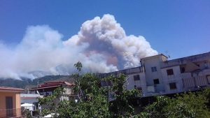 incendio vesuvio 11 luglio 2017 (11)