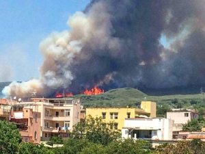 incendio vesuvio 11 luglio 2017 (16)