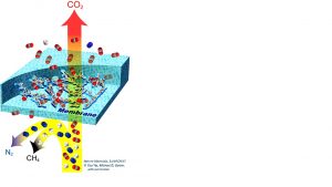 Figura 2. Rappresentazione schematica del trasporto attraverso una membrana con elevata selettività per la CO2 rispetto ad azoto e metano