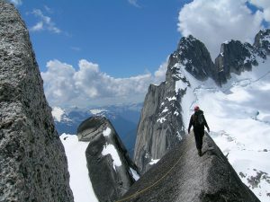La catena montuosa Bugaboos in Canada