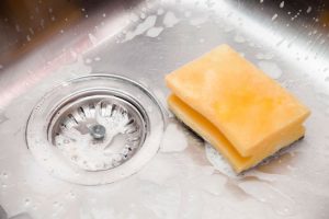 SPUGNE CUCINA 1