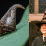 Il ragno che assomiglia al cappello parlante di Harry Potter 