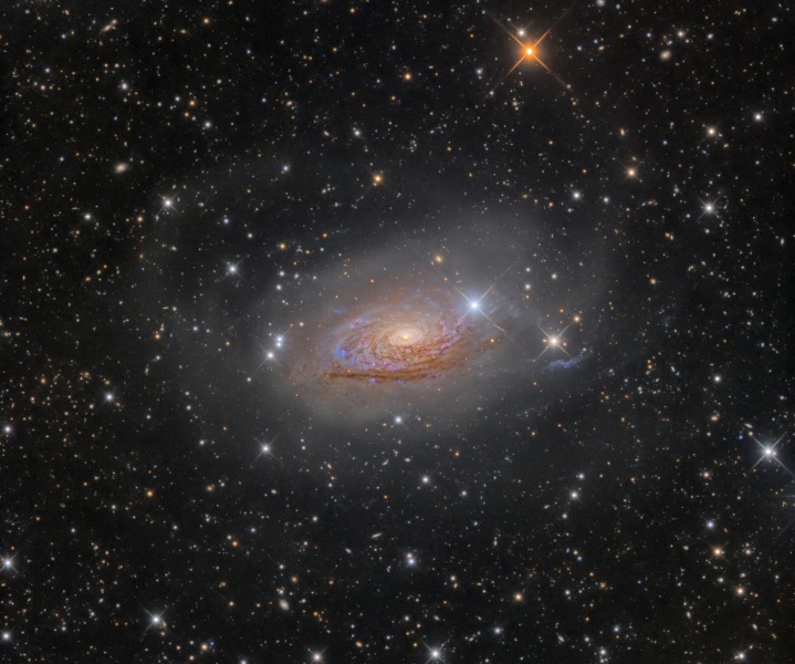 La Galassia Girasole fotografata dall’Osservatorio astronomico nazionale Rožen, in Bulgaria.