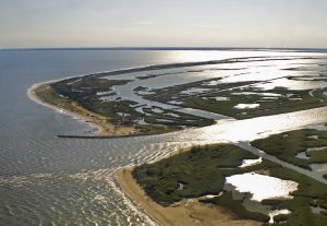 delta del po