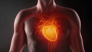 zuccheri liberi malattie cardiovascolare