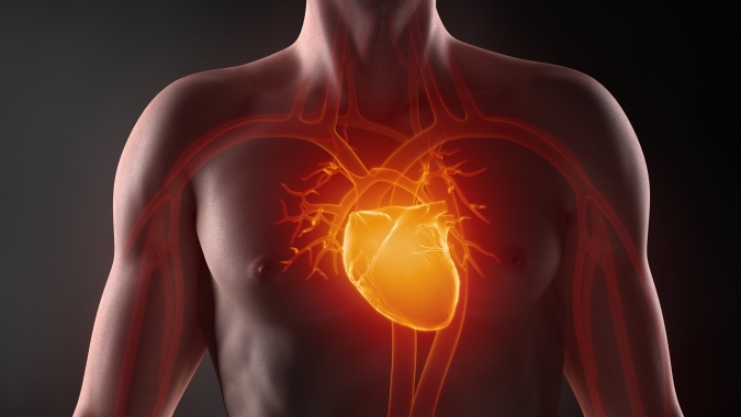 zuccheri liberi malattie cardiovascolare