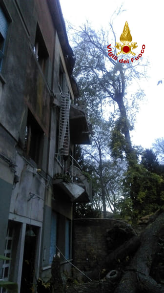 Albero si abbatte su una casa a Cannaregio (vigili del fuoco) (1)