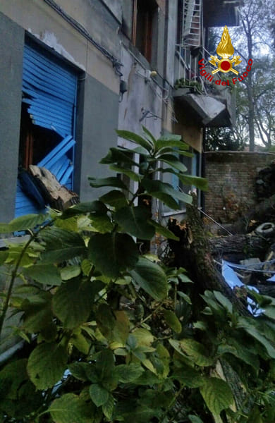 Albero si abbatte su una casa a Cannaregio (vigili del fuoco) (1)