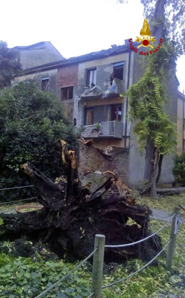 Albero si abbatte su una casa a Cannaregio (vigili del fuoco) (1)