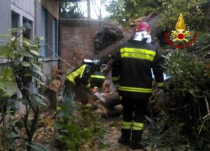Albero si abbatte su una casa a Cannaregio (vigili del fuoco) (1)