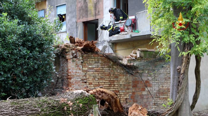 Albero si abbatte su una casa a Cannaregio (vigili del fuoco) (1)