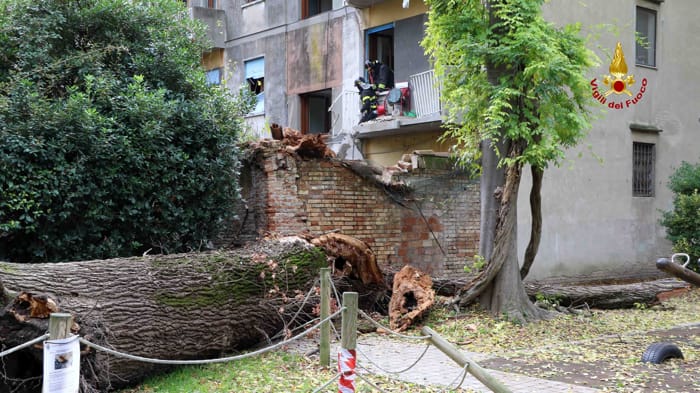 Albero si abbatte su una casa a Cannaregio (vigili del fuoco) (1)