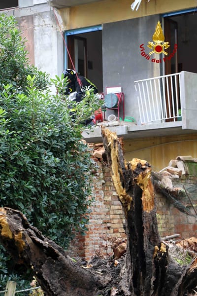 Albero si abbatte su una casa a Cannaregio (vigili del fuoco) (1)