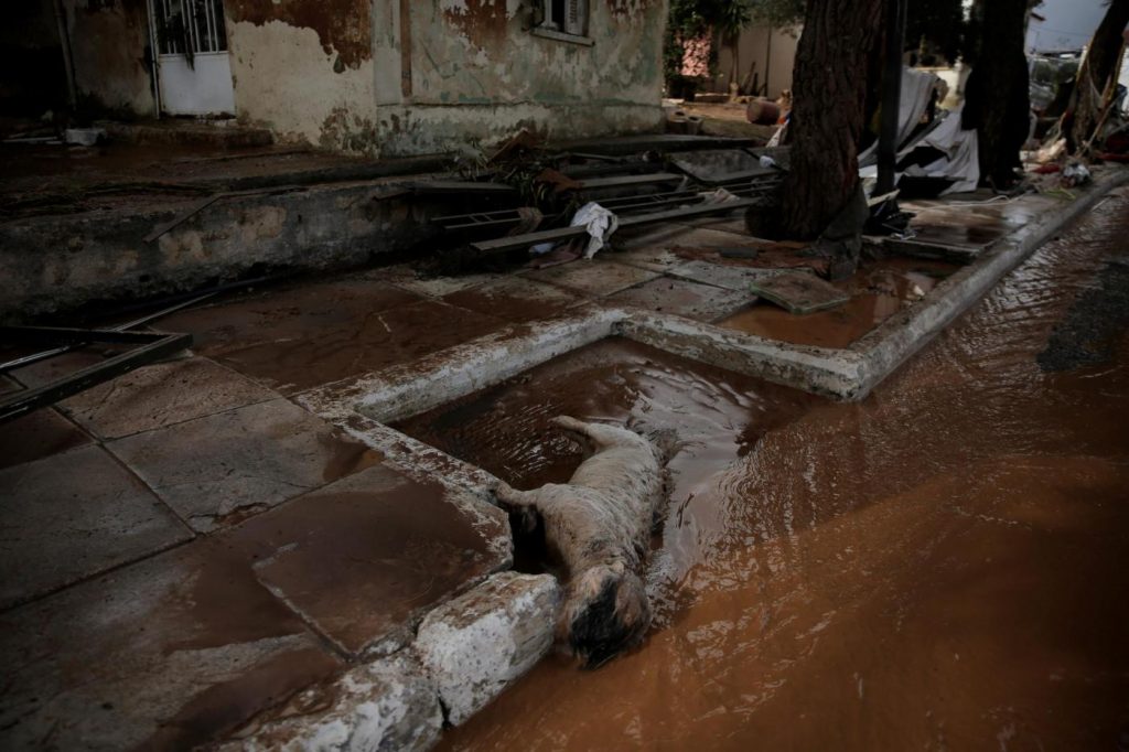alluvione grecia