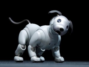 cane robot robodog