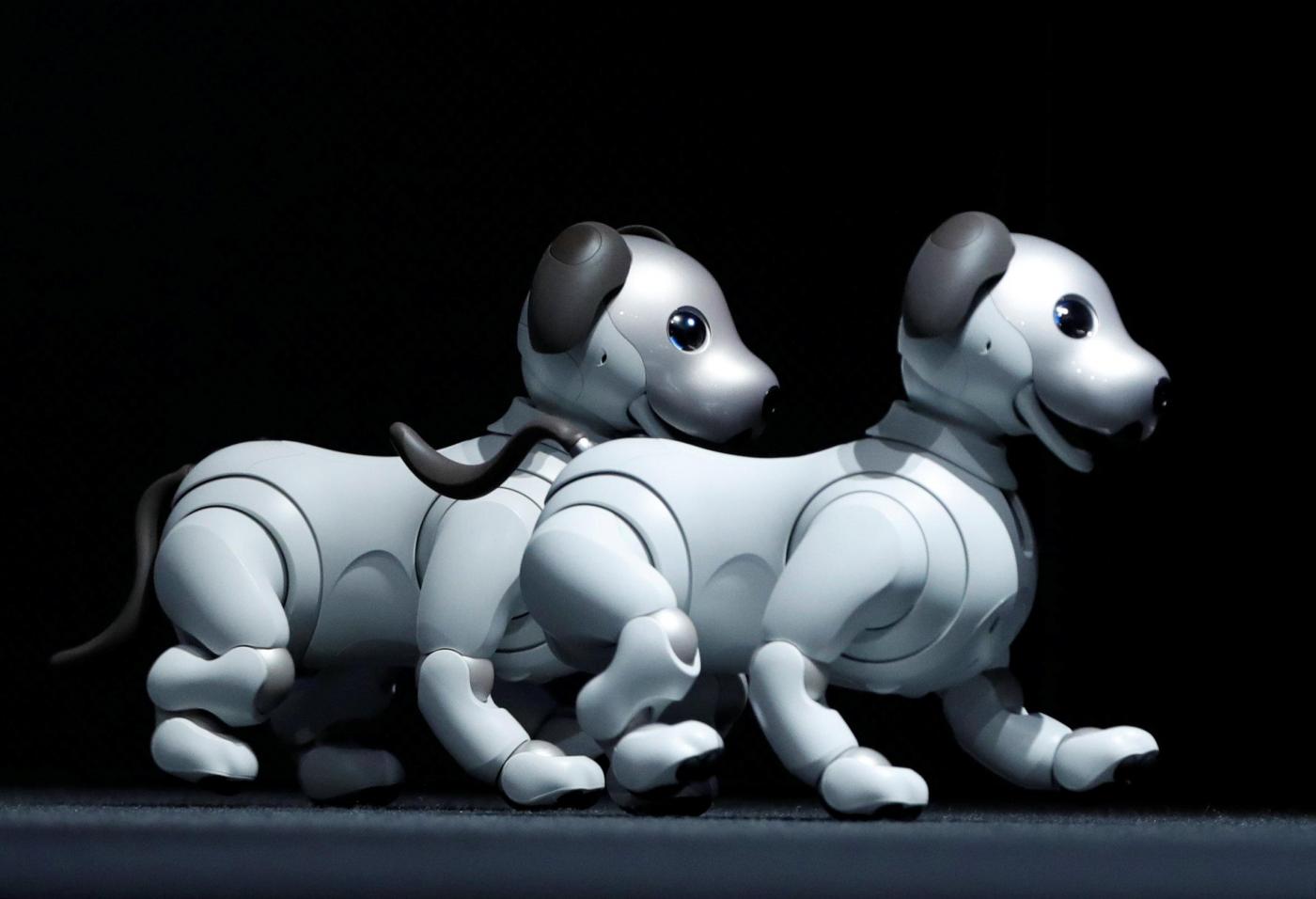 Tecnologia: Sony presenta Aibo, il nuovo cane-robot [GALLERY]