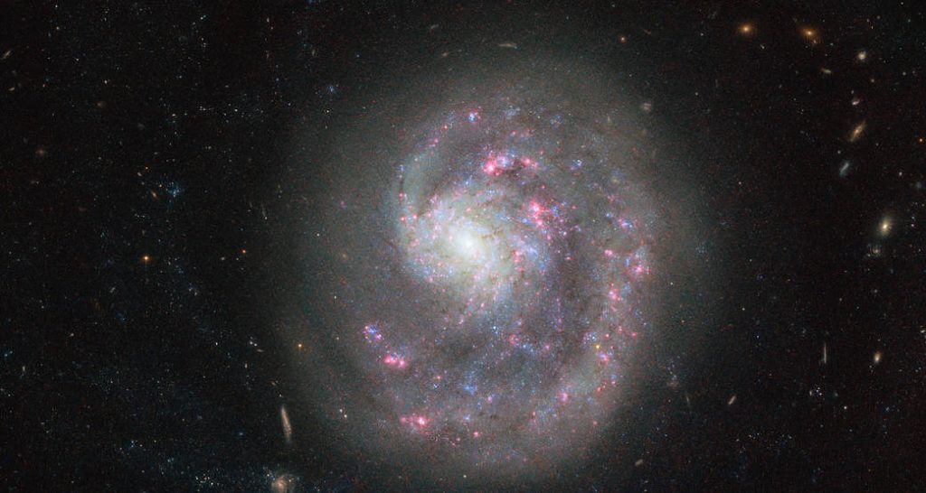 ngc 4625