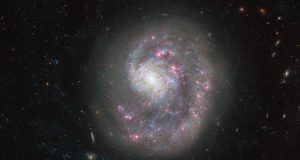 ngc 4625