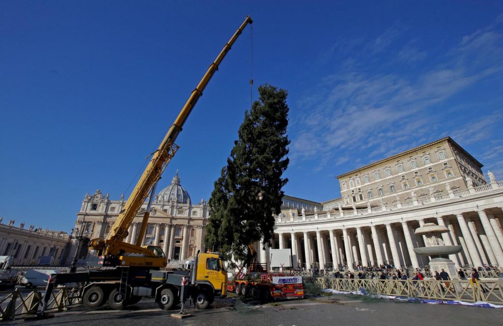 albero di Natale Vaticano