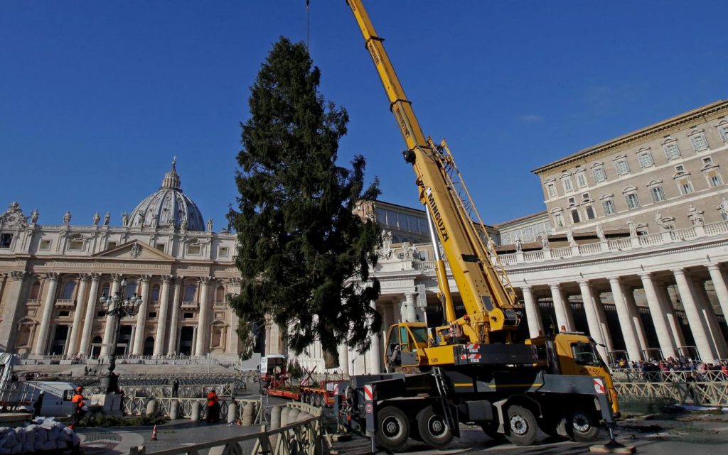 albero di Natale Vaticano