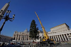 albero di Natale Vaticano