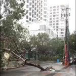 Vietnam: nel sud del Paese arriva il tifone Damrey, 19 morti [GALLERY]