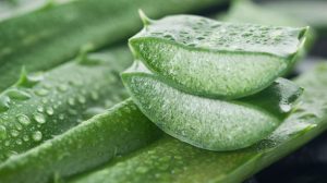Aloe vera benefici