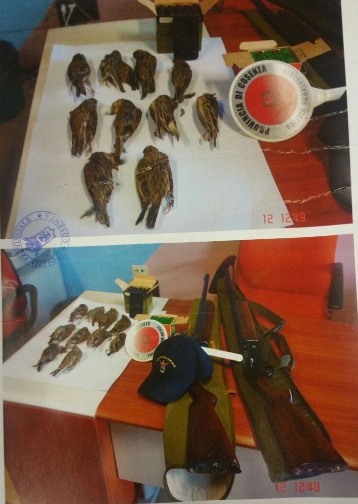 bracconaggio polizia provinciale cosenza (1)