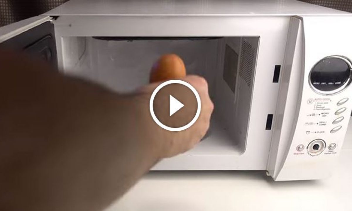 Ecco cosa non mettere MAI nel microonde [VIDEO]
