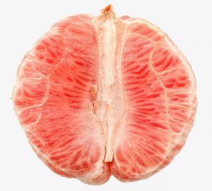 pompelmo