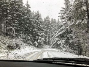 neve mugello