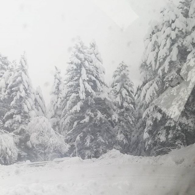 Prato Nevoso neve