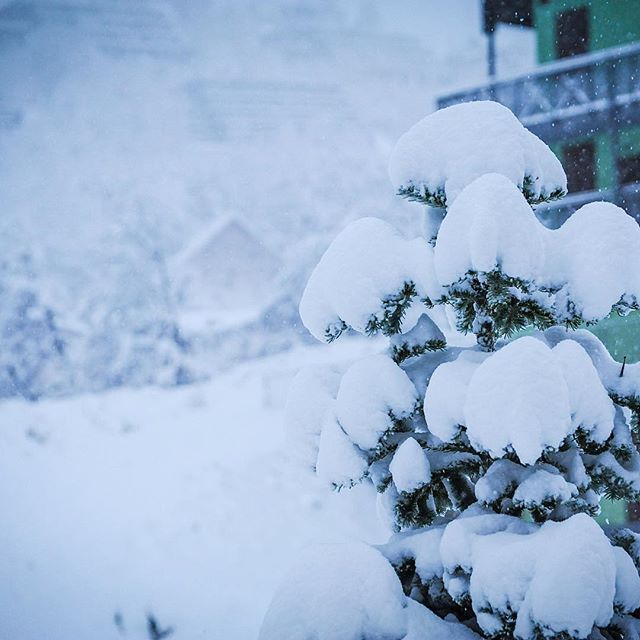 Prato Nevoso neve