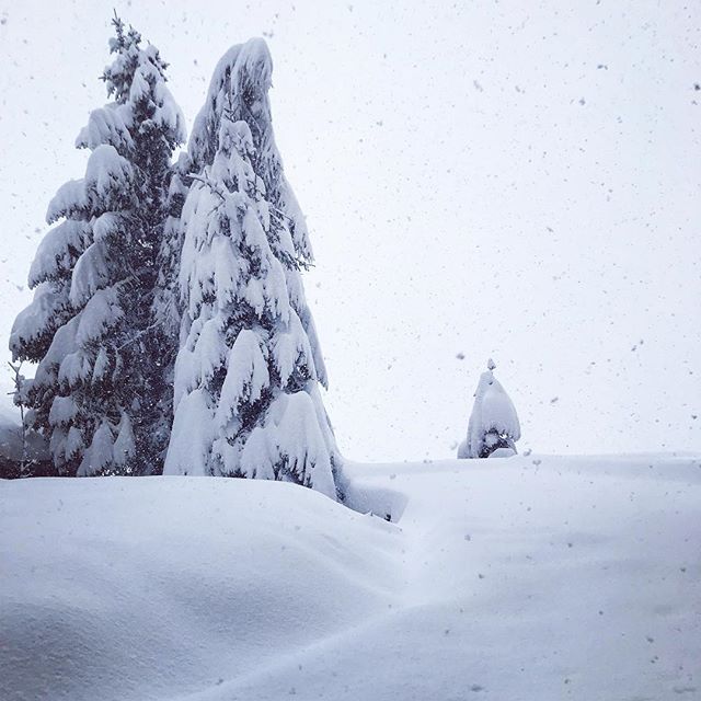 Prato Nevoso neve