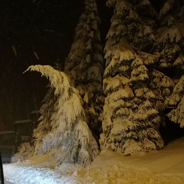 Prato Nevoso neve