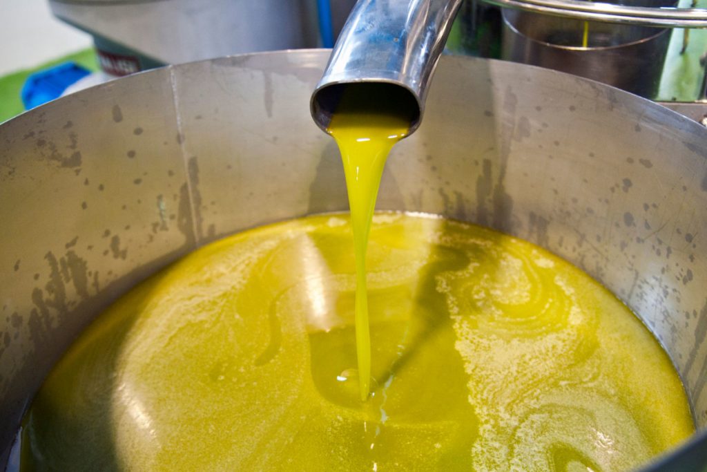 olio